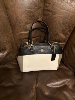 COACH 2017 Color Block Mini Brooke Carryall